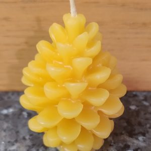 Pine Cone Beeswax Candle