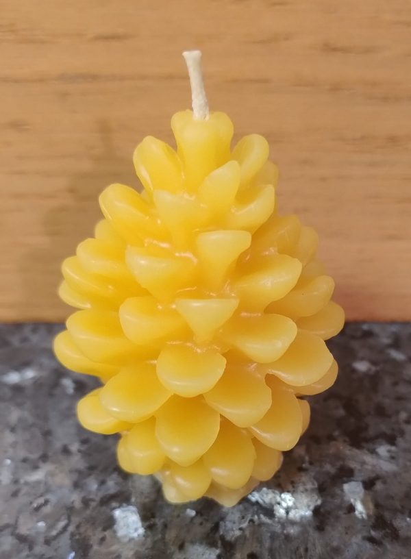 Pine Cone Beeswax Candle